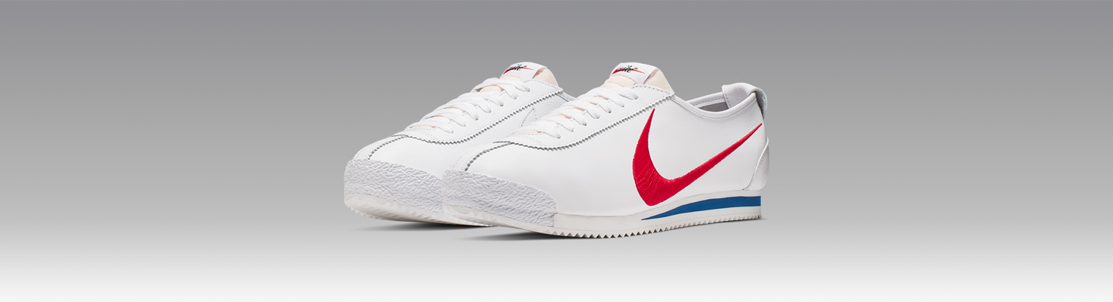 nike shoe dog cortez